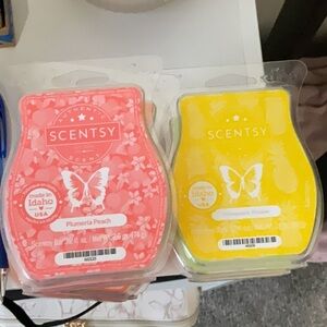 Scentsy Bars